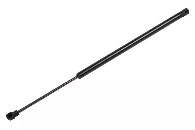 19383230 - : F (S)Strut for GM Image