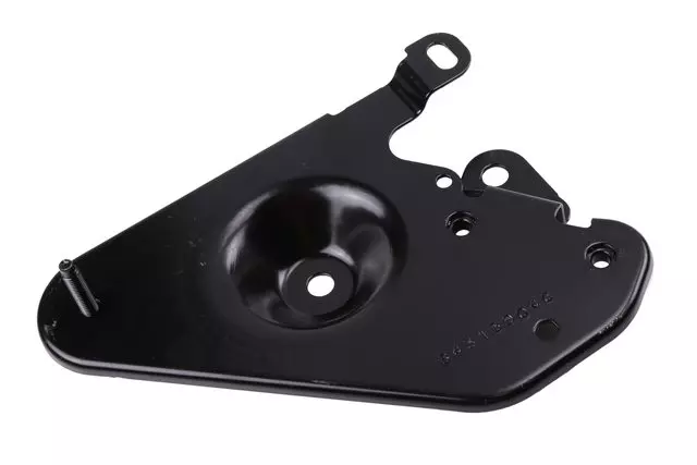 Control Module Bracket - GM (84313904)