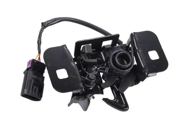 39086595 - Body: Lock for GM Image