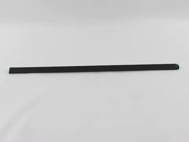 Front Door Molding, Right - Mopar (1BS46RXFAB)