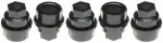 10048N - : Raybestos R-Line Wheel Fastener Cover for Raybestos Brakes Image