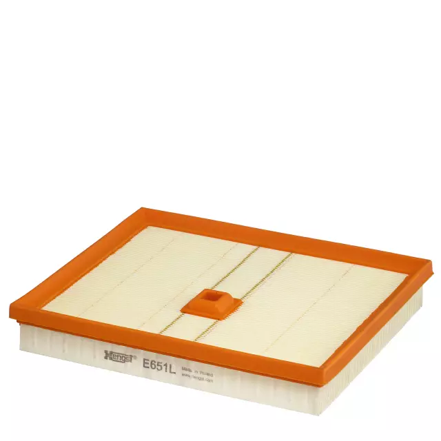 E651L - : Air filter insert for HENGST Image