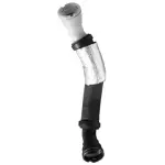 72636 - : CURVED RADIATOR HOSE, DAYCO for DAYCO HYDRAULIC Image