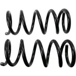 81761 - : Coil Spring Set for Moog Image