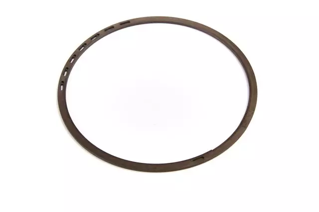 24282603 - : F (S)Ring for GM Image