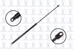 84821 - : Hood Lift Support for Focus Auto Parts Image