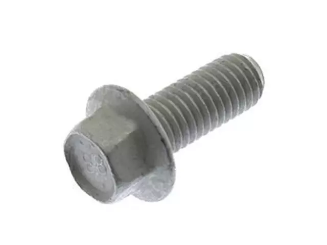Heat Shield Screw - Ford (W500033-S437)