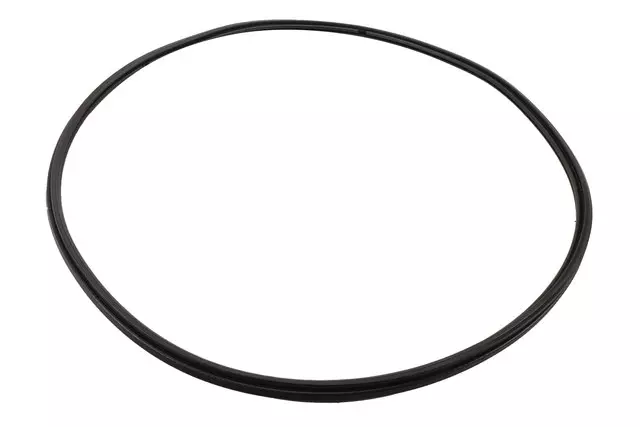 22888213 - : Passenger side rear door window  Weatherstrip for Chevrolet: Express 1500, Express 2500, Express 3500, P30 | GMC: Savana 1500, Savana 2500, Savana 3500 Image