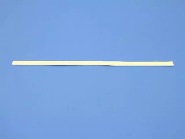 Rear Door Molding - Mopar (1DH74SW1AB)