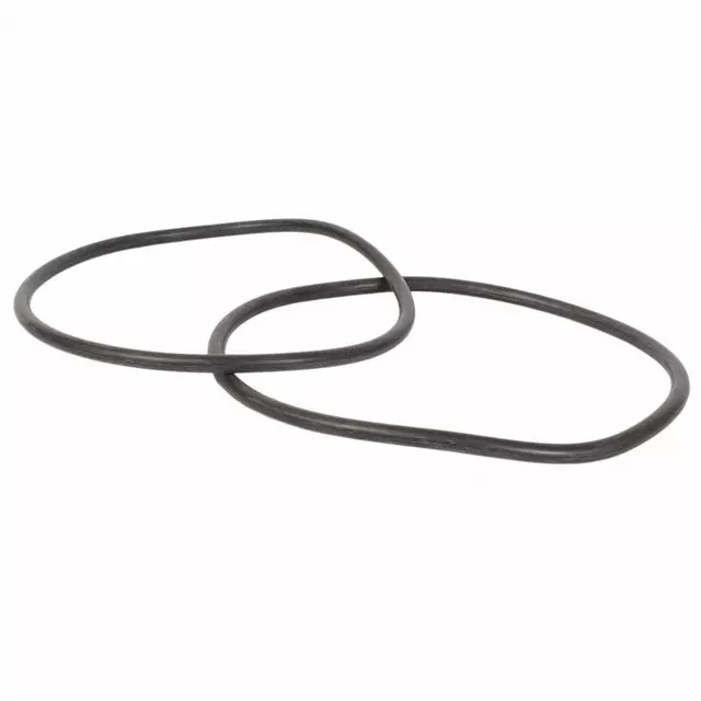 Fuel Pump Tank Seal - Ford (F6DZ-9276-A)