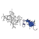 LX6Z14401AA - Electrical: Wire Harness for Ford: Escape Image