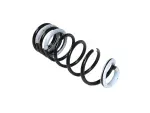 68506116AA - Rear Suspension: Rear Coil Spring, Right for Mopar Image