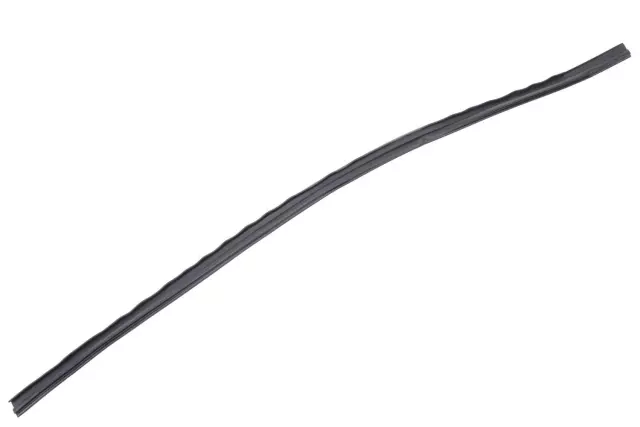 25904859 - Body: Drip Weather-strip for Chevrolet: Colorado | GMC: Canyon Image