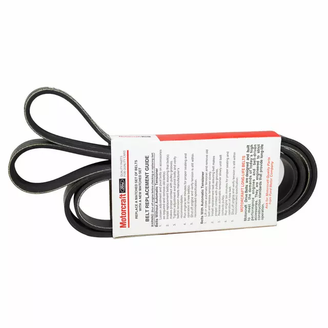 F8KZ8620BC - : OEM NEW 2000 Ford Escort Serpentine V-Belt Air Pump Alternator F8KZ-8620-BC for Ford: Escort Image