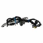 JL1Z14405B - : Wiring Assembly Rear Lamps for Ford Image