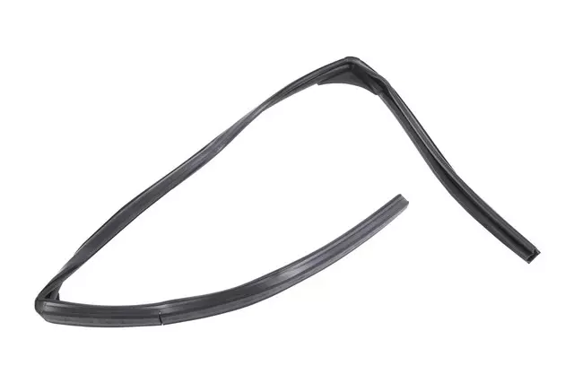 Passenger Side Rear Door Window Outer Weatherstrip - GM (22802937)