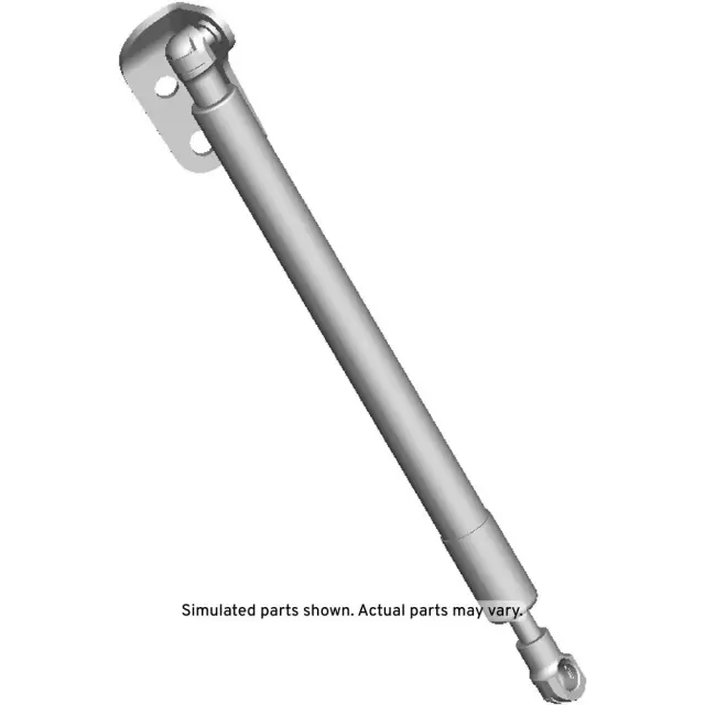 42400107 - : F (S)Strut for GM Image