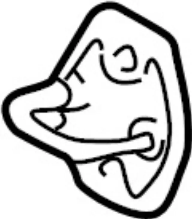 Striker - Infiniti (805705P00B)