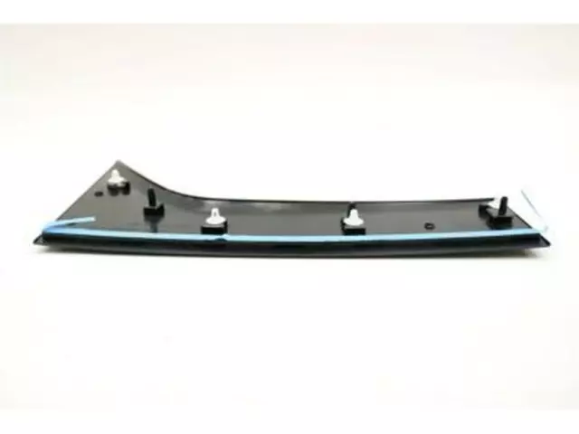 Front Molding - Ford (DT1Z-1720938-BA)