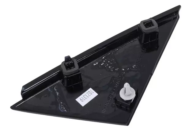 26228885 - : Passenger Side Door Applique for GM Image