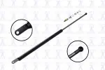84786 - : Hood Lift Support for Focus Auto Parts Image