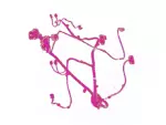 HG9Z14630AD - : Wire Assembly Jumper for Ford Image