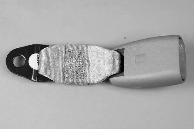 YZ581D1AA - Electrical: Buckle End for Chrysler: Town &amp; Country | Dodge: Caravan, Grand Caravan Image