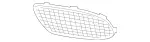 2178856300 - Body: Outer Grille for Mercedes-Benz Image