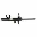 AST24658 - : Motorcraft™ Strut for Ford Image