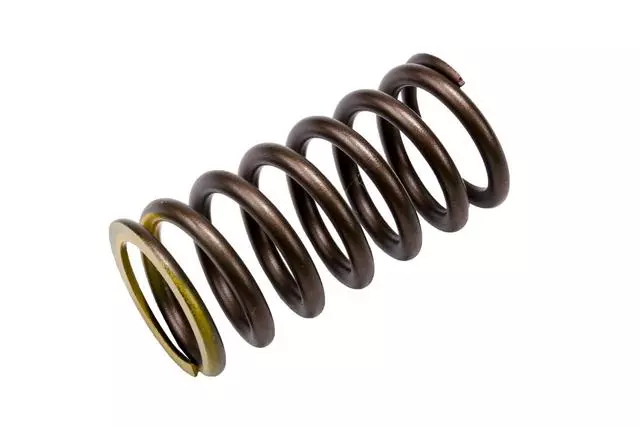 97311675 - : F Spring for GM Image