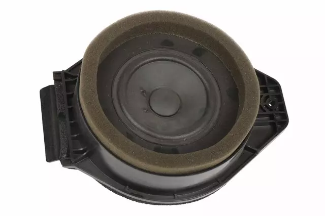 Rear Side Door Speaker - GM (20760439)