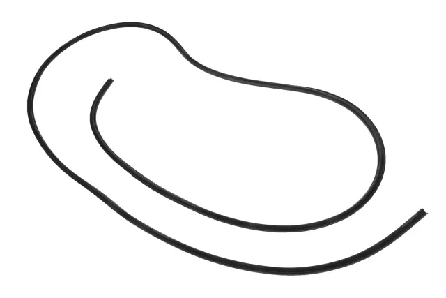 13232866 - : Sunroof Window Seal for Buick: Regal TourX Image