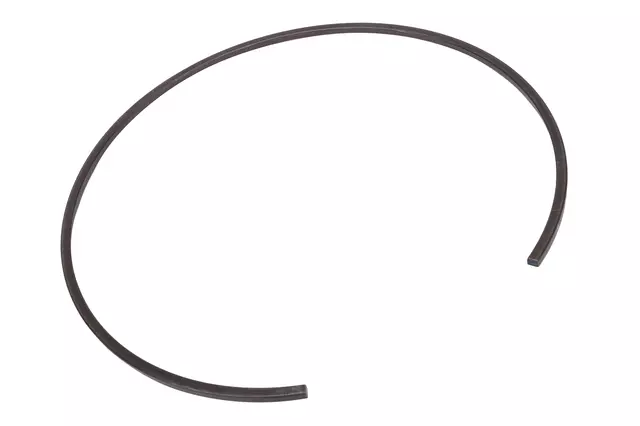 F (S)Ring - GM (24044210)