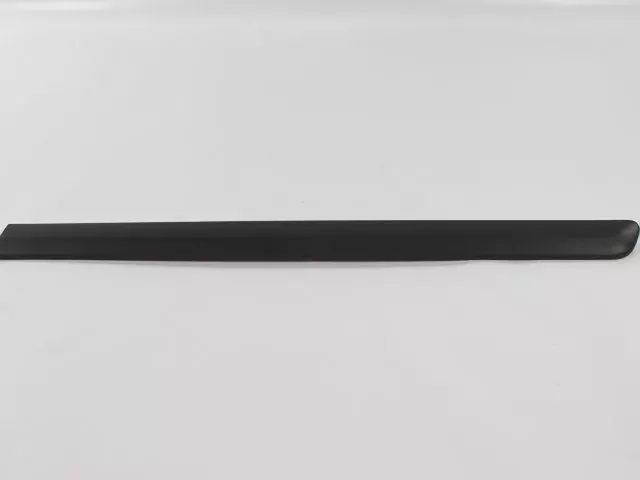 Sliding Door Molding, Left - Mopar (WW07CD7AD)