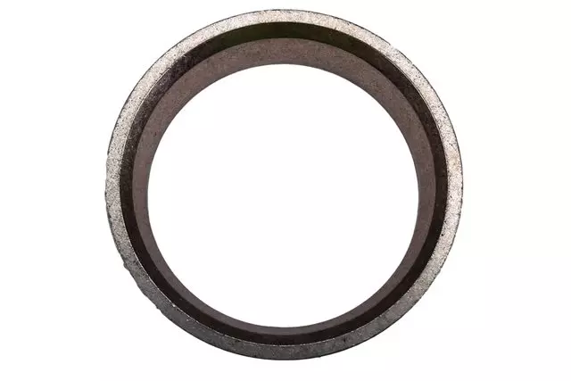 96388702 - : Engine Intake Valve Seat for Chevrolet: Aveo, Aveo5 Image