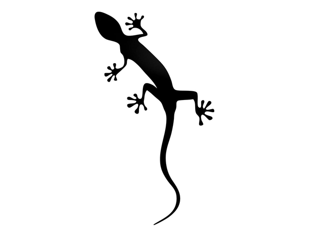 4L0064317Y9B - Exterior: Gecko Decal - Brilliant Black for Audi: A3, A3 Quattro, A4 allroad, A4 Quattro, A5 Quattro, A5 Sportback, A6 allroad, A6 Quattro, A7 Sportback, e-tron GT, e-tron Sportback, Q3, Q4 e-tron, Q5, Q5 Sportback, Q7, Q8, R8, RS e-tron GT, RS3, RS5, RS5 Sportback, S3, S4, S5, S5 Sportback, S6, SQ5, SQ5 Sportback, SQ7, SQ8, TT Quattro, TT RS Quattro, TTS Quattro Image