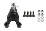 X33BJ2755 - : Ball Joint for SUSPENSIA Image