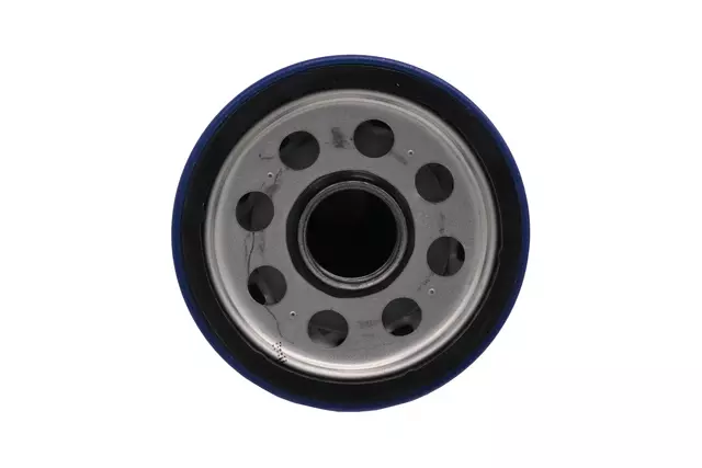 Filter - GM (12731179)