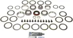 697029 - : Ring And Pinion Master Bearing And Installation Kit for Dorman Image