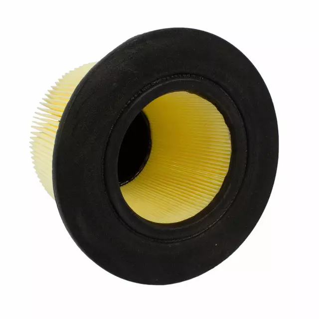 Air Filter - Ford (F5OZ-9601-BA)
