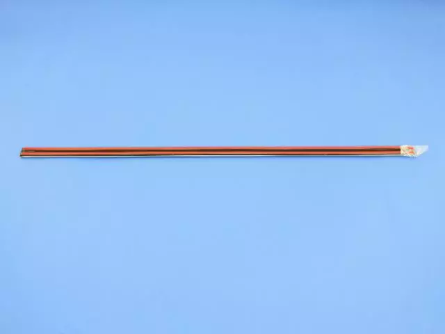 WG18BPKAC - Body: Body Side Molding for Chrysler: 300 | Dodge: Charger Image