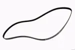 55579905 - : V-Ribbed Serpentine Belt for GM Image