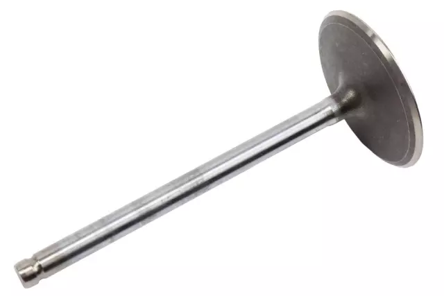 12617533 - Engine: Intake Valve for Cadillac: Escalade, Escalade ESV, Escalade EXT | Chevrolet: Avalanche, Express 2500, Express 3500, Express 4500, Silverado 1500, Silverado 2500 HD, Silverado 3500 HD, Suburban 1500, Suburban 2500, Tahoe | GMC: Savana 2500, Savana 3500, Savana 4500, Sierra 1500, Sierra 2500 HD, Sierra 3500 HD, Yukon, Yukon XL 1500, Yukon XL 2500 | Hummer: H2 | Pontiac: G8 Image