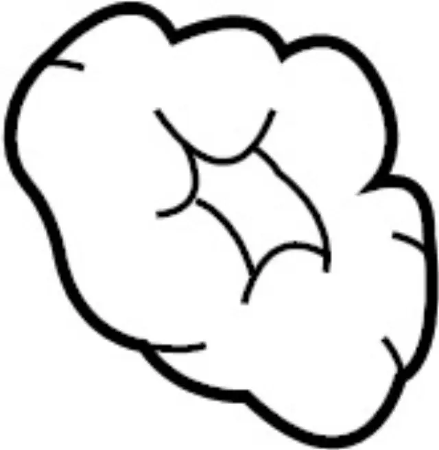 625680W000 - Body: Seal for INFINITI: QX4 Image