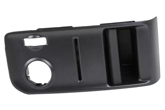 Black Carbon Metallic Driver Side Instrument Panel Center Trim Plate Applique - GM (22817733)