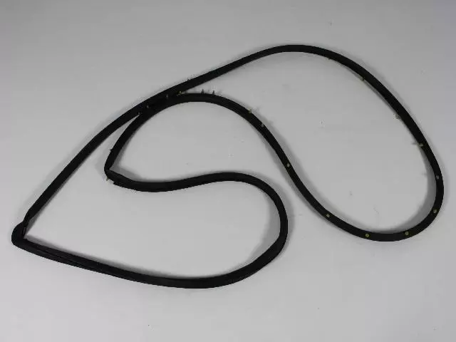 Front Door Weatherstrip, Left - Mopar (4717721AA)