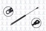 84428 - : Hood Lift Support for Focus Auto Parts Image