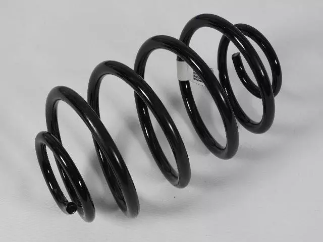 Rear Coil Spring - Mopar (52089104)