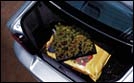Cargo Area Mat - Mitsubishi (MZ312926)