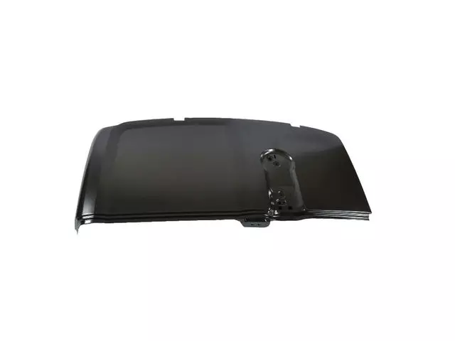 68273990AA - Doors, Door Mirrors and Related Parts: Rear Cargo Door, Right for Ram: ProMaster City Image